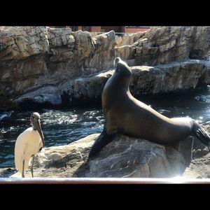 Meet your Posher, Janice